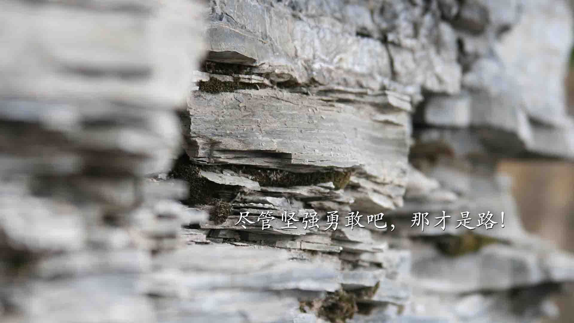 “全明星集结！明星投手、击球手火力全开，激烈角逐冠军”，明星投篮视频