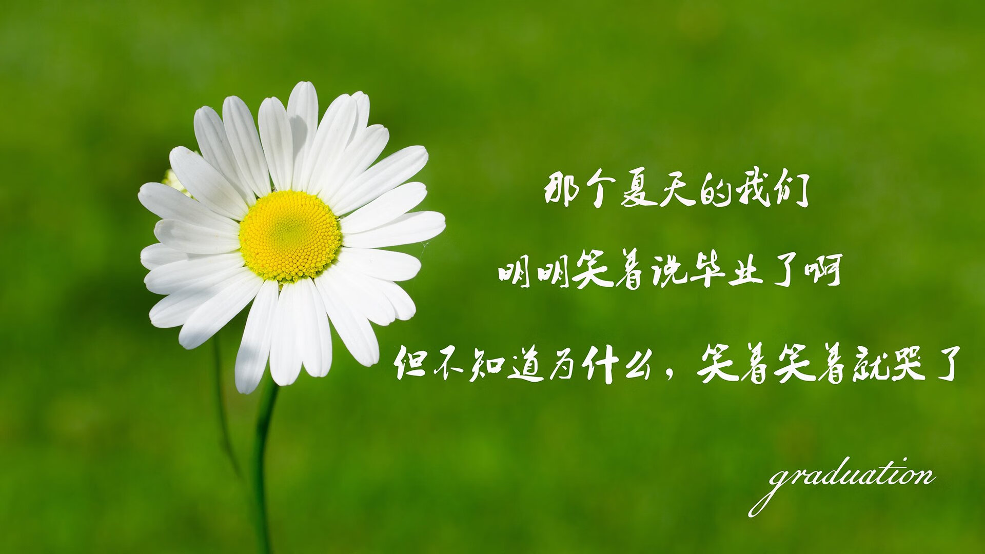 美国女足在巴黎奥运会比赛中以1-0战胜意大利，美国女足在巴黎奥运会比赛中以1-0战胜意大利队为主