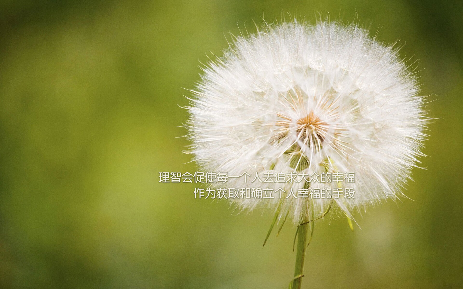 法兰克福战平对手，表现不尽如人意，法兰克福 知乎