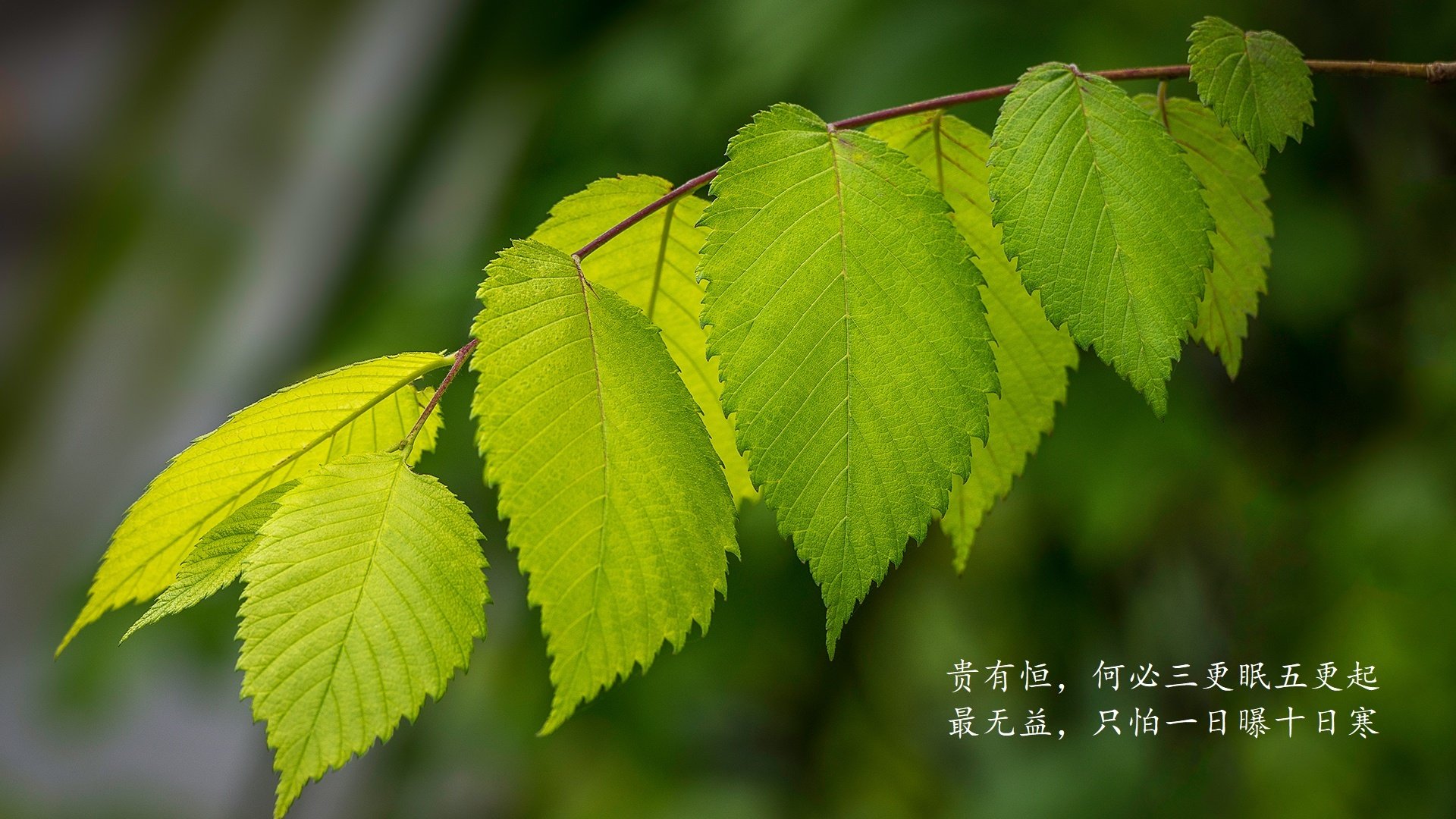 欧洲杯变阵破局:战术创新助力逆袭!,欧洲杯进阶