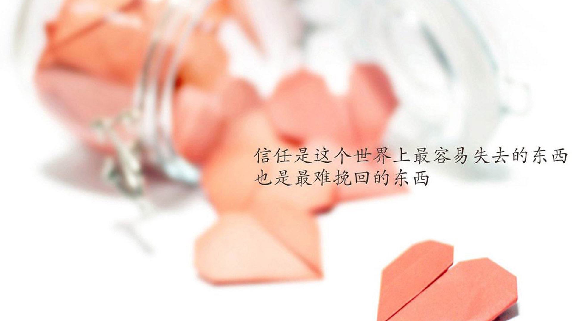 荷兰女子水球团队协作抢眼，荷兰女子手球